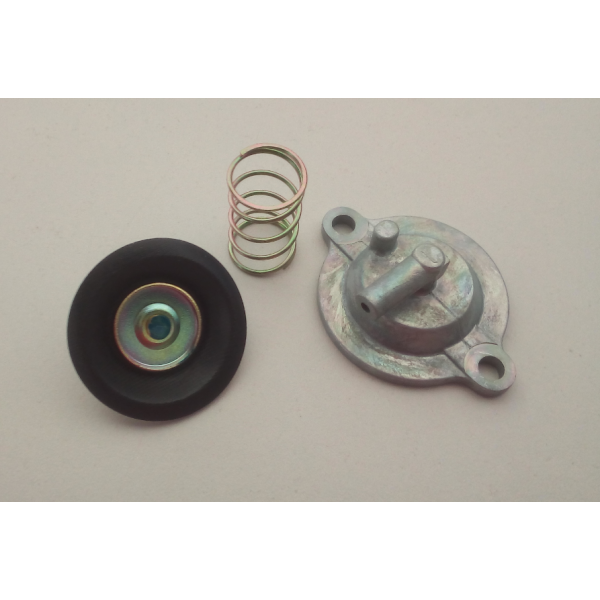 ΒΑΛΒΙΔΑ ΚΑΡΜΠΥΛΑΤΕΡ ΑΕΡΟΣ (ΜΕΜΒΡΑΝΗ) Χ9 250 (ΚΙΝΗΤΗΡΑΣ HONDA)  ΚΩΔ.496367