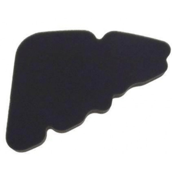 ΦΙΛΤΡΟ ΑΕΡΟΣ LIBERTY-DERBI SONAR 125-200  ΚΩΔ.8755250P	